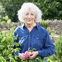 Judith Hann