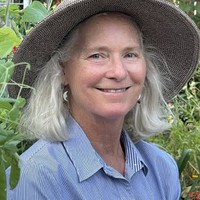 Linda Ziedrich