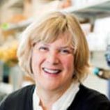Patricia Helding