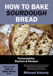 How to Bake Sourdough Bread: Fermentation, Starters & Recipes